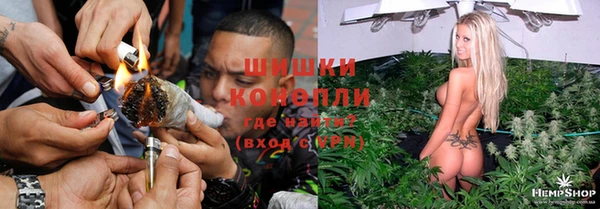 СК Волосово