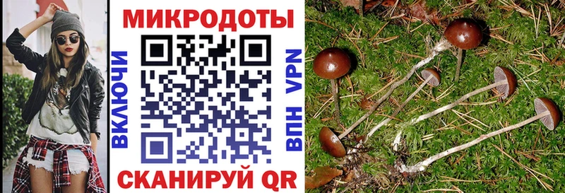 Купить  Калтан  Псилоцибиновые грибы мицелий 